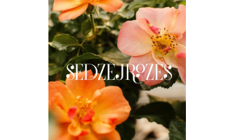 Mis teeb hollyhocks nii eriliseks?